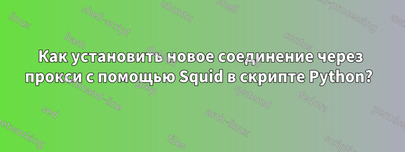 Как установить новое соединение через прокси с помощью Squid в скрипте Python? 