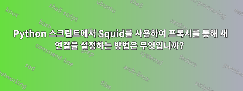 Python 스크립트에서 Squid를 사용하여 프록시를 통해 새 연결을 설정하는 방법은 무엇입니까? 