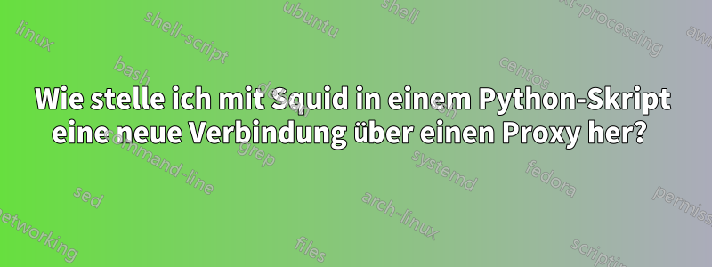Wie stelle ich mit Squid in einem Python-Skript eine neue Verbindung über einen Proxy her? 