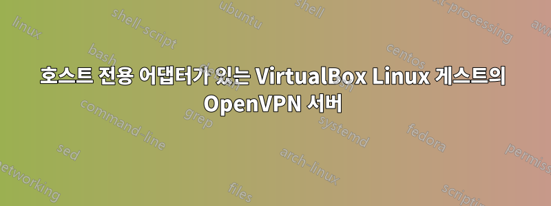 호스트 전용 어댑터가 있는 VirtualBox Linux 게스트의 OpenVPN 서버