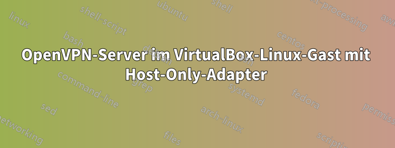 OpenVPN-Server im VirtualBox-Linux-Gast mit Host-Only-Adapter