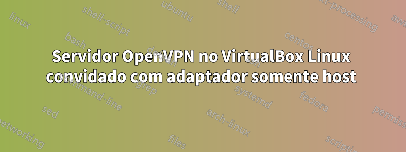 Servidor OpenVPN no VirtualBox Linux convidado com adaptador somente host