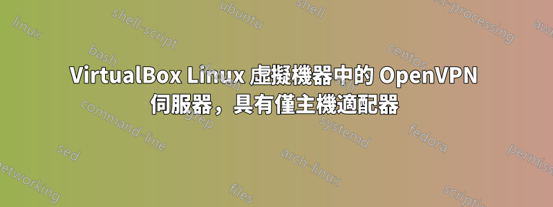 VirtualBox Linux 虛擬機器中的 OpenVPN 伺服器，具有僅主機適配器