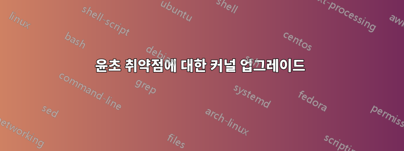 윤초 취약점에 대한 커널 업그레이드