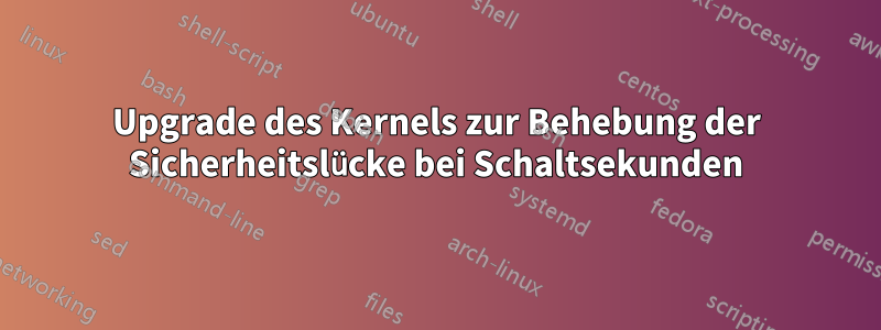 Upgrade des Kernels zur Behebung der Sicherheitslücke bei Schaltsekunden