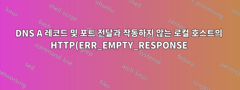 DNS A 레코드 및 포트 전달과 작동하지 않는 로컬 호스트의 HTTP(ERR_EMPTY_RESPONSE)