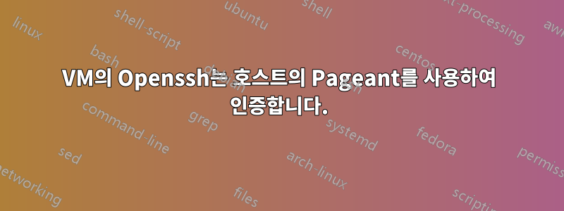 VM의 Openssh는 호스트의 Pageant를 사용하여 인증합니다.