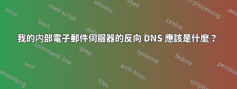 我的內部電子郵件伺服器的反向 DNS 應該是什麼？