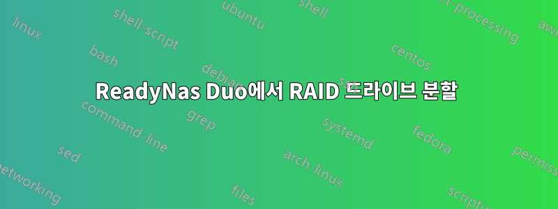 ReadyNas Duo에서 RAID 드라이브 분할