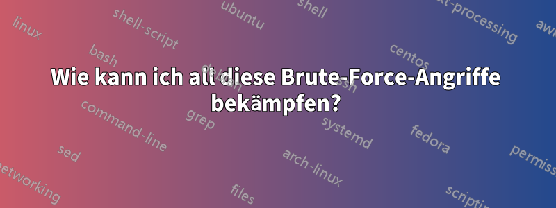 Wie kann ich all diese Brute-Force-Angriffe bekämpfen?