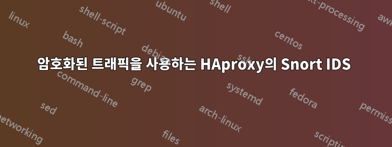 암호화된 트래픽을 사용하는 HAproxy의 Snort IDS