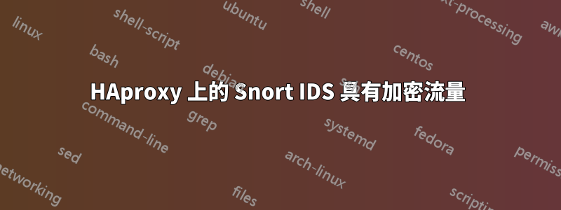 HAproxy 上的 Snort IDS 具有加密流量