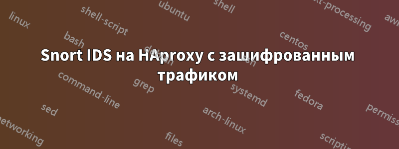 Snort IDS на HAproxy с зашифрованным трафиком