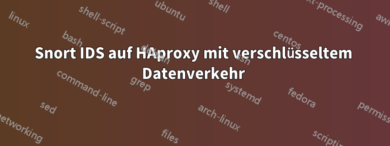 Snort IDS auf HAproxy mit verschlüsseltem Datenverkehr