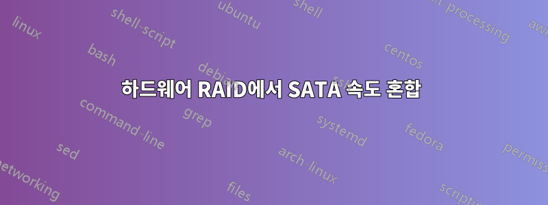 하드웨어 RAID에서 SATA 속도 혼합