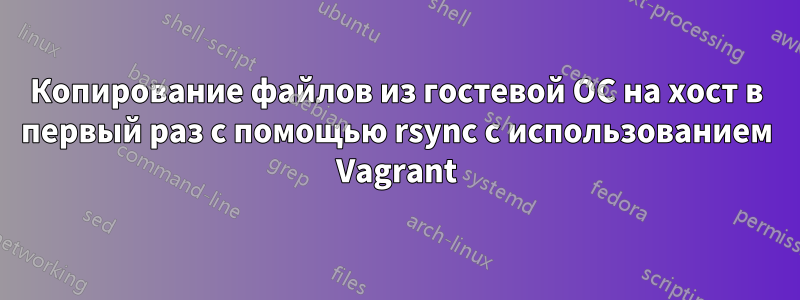 Копирование файлов из гостевой ОС на хост в первый раз с помощью rsync с использованием Vagrant