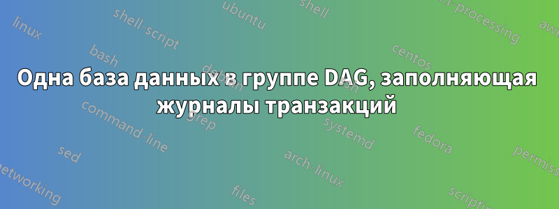 Одна база данных в группе DAG, заполняющая журналы транзакций