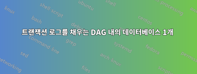 트랜잭션 로그를 채우는 DAG 내의 데이터베이스 1개