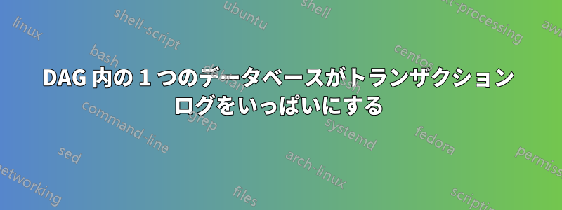 DAG 内の 1 つのデータベースがトランザクション ログをいっぱいにする