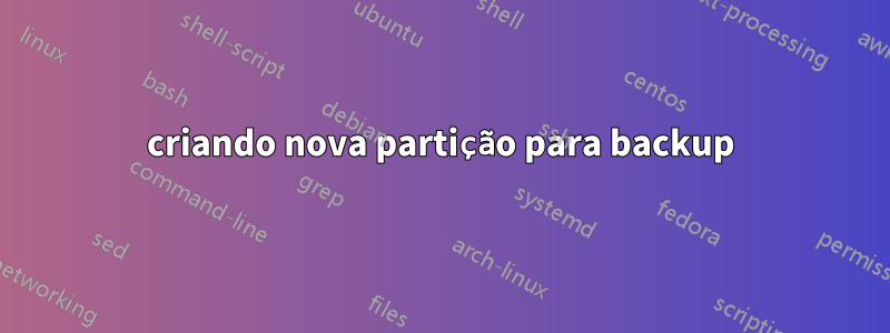 criando nova partição para backup