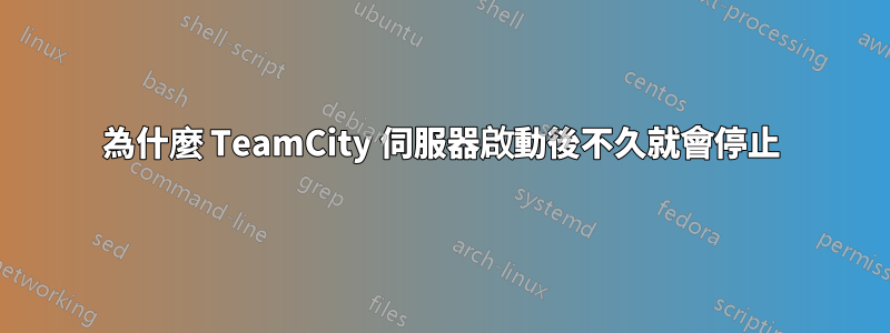 為什麼 TeamCity 伺服器啟動後不久就會停止