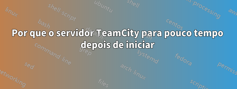 Por que o servidor TeamCity para pouco tempo depois de iniciar