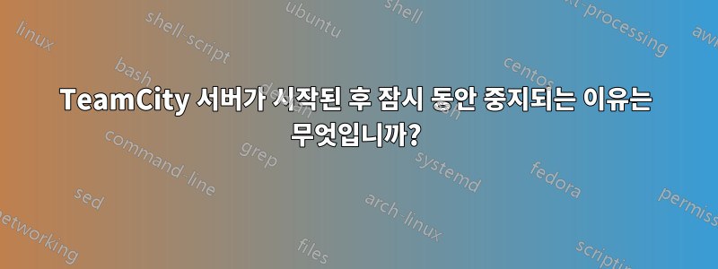 TeamCity 서버가 시작된 후 잠시 동안 중지되는 이유는 무엇입니까?