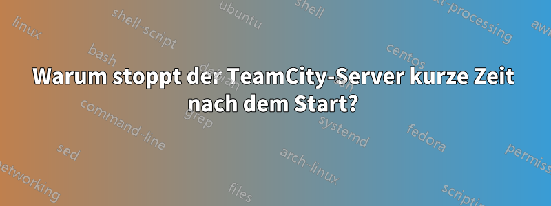 Warum stoppt der TeamCity-Server kurze Zeit nach dem Start?