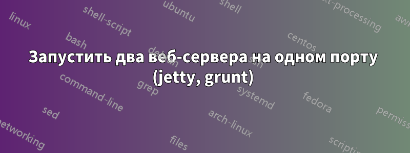 Запустить два веб-сервера на одном порту (jetty, grunt)