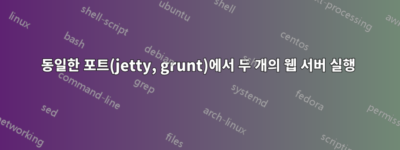 동일한 포트(jetty, grunt)에서 두 개의 웹 서버 실행