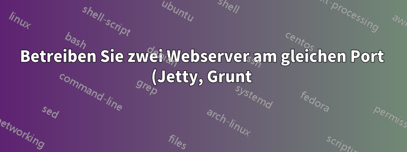 Betreiben Sie zwei Webserver am gleichen Port (Jetty, Grunt).