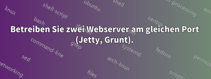 Betreiben Sie zwei Webserver am gleichen Port (Jetty, Grunt).