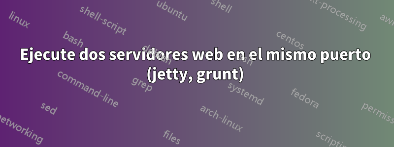 Ejecute dos servidores web en el mismo puerto (jetty, grunt)