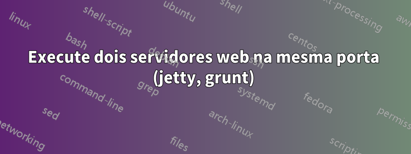 Execute dois servidores web na mesma porta (jetty, grunt)