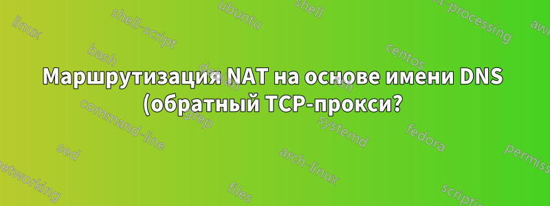 Маршрутизация NAT на основе имени DNS (обратный TCP-прокси?)