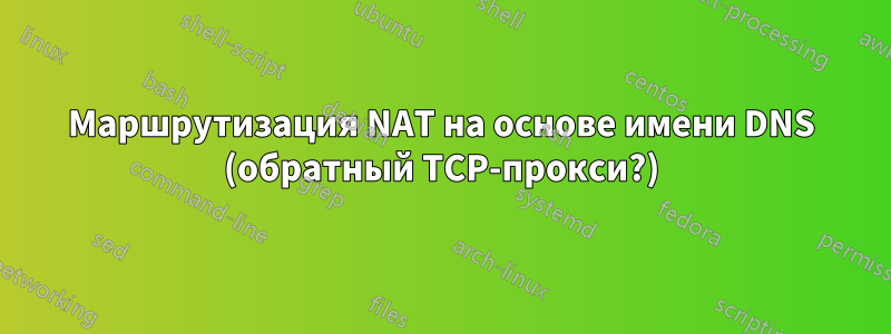 Маршрутизация NAT на основе имени DNS (обратный TCP-прокси?)