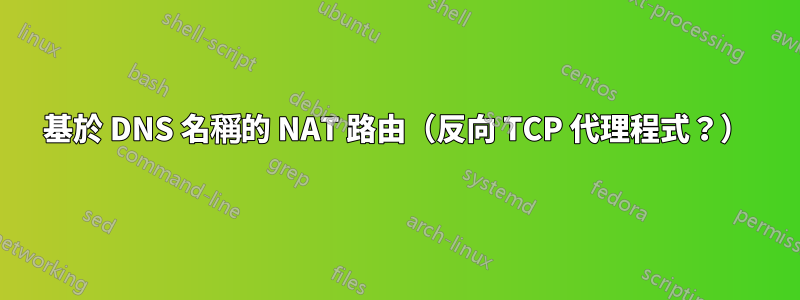 基於 DNS 名稱的 NAT 路由（反向 TCP 代理程式？）