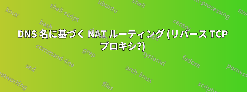 DNS 名に基づく NAT ルーティング (リバース TCP プロキシ?)