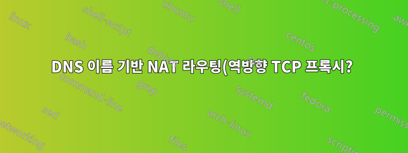 DNS 이름 기반 NAT 라우팅(역방향 TCP 프록시?)