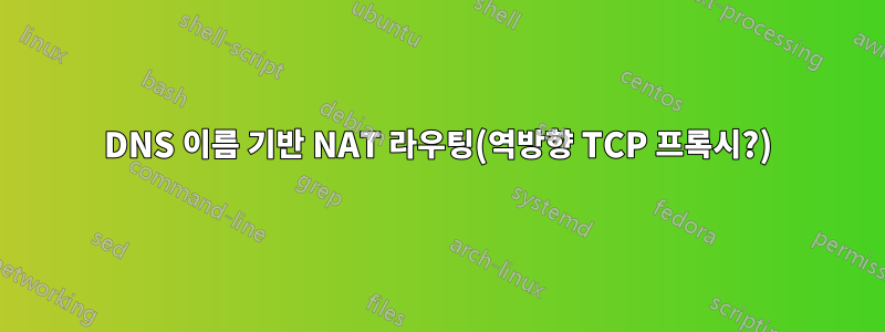 DNS 이름 기반 NAT 라우팅(역방향 TCP 프록시?)