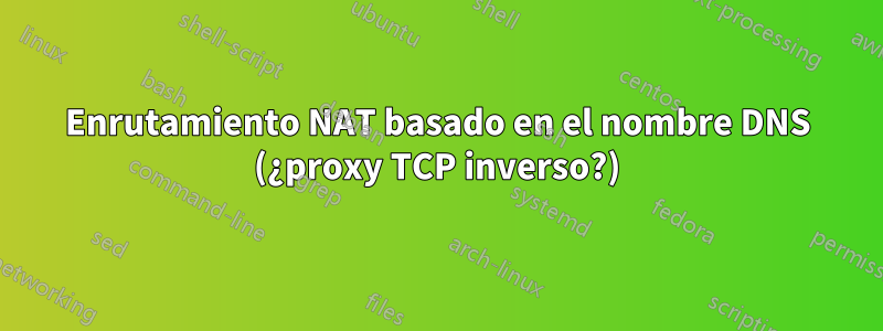 Enrutamiento NAT basado en el nombre DNS (¿proxy TCP inverso?)