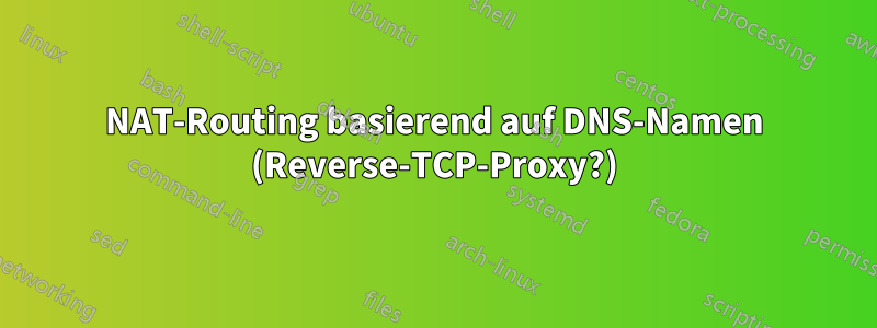 NAT-Routing basierend auf DNS-Namen (Reverse-TCP-Proxy?)