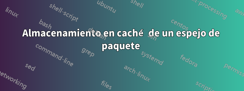 Almacenamiento en caché de un espejo de paquete