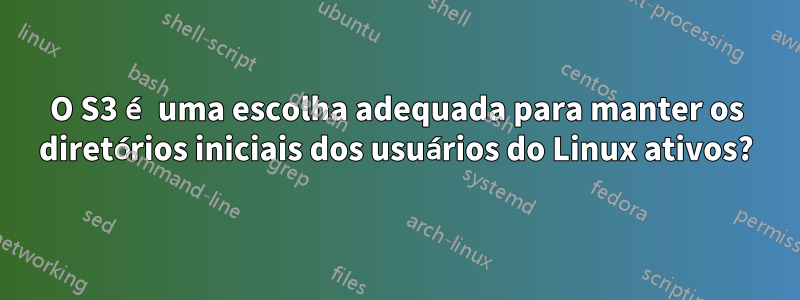 O S3 é uma escolha adequada para manter os diretórios iniciais dos usuários do Linux ativos?