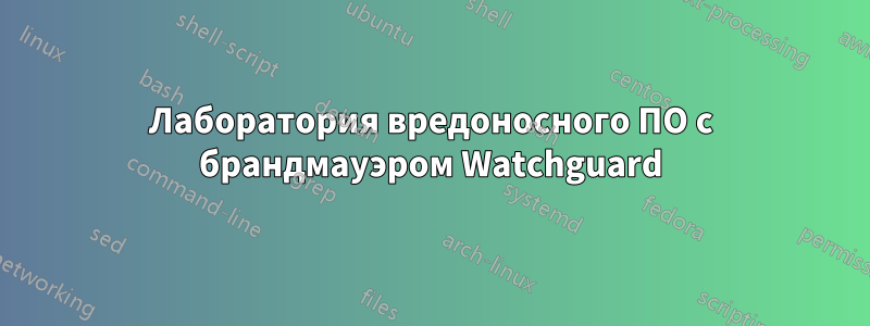 Лаборатория вредоносного ПО с брандмауэром Watchguard