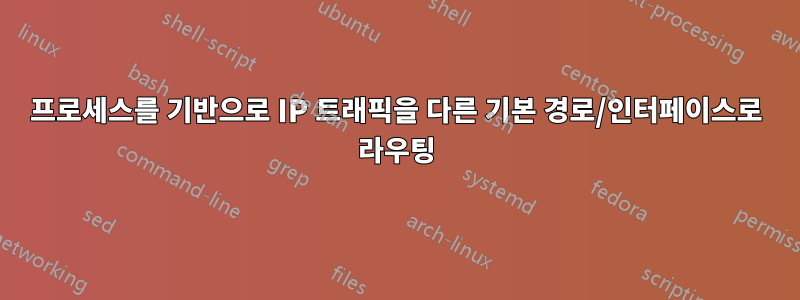 프로세스를 기반으로 IP 트래픽을 다른 기본 경로/인터페이스로 라우팅