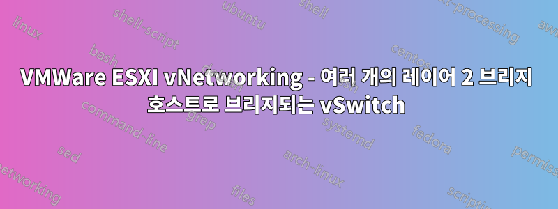 VMWare ESXI vNetworking - 여러 개의 레이어 2 브리지 호스트로 브리지되는 vSwitch