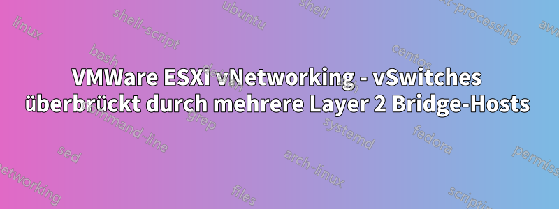 VMWare ESXI vNetworking - vSwitches überbrückt durch mehrere Layer 2 Bridge-Hosts