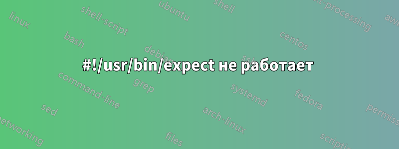 #!/usr/bin/expect не работает