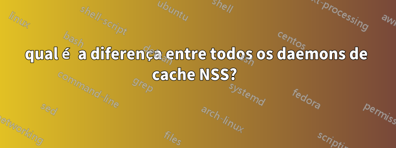 qual é a diferença entre todos os daemons de cache NSS? 